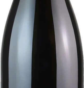 Bernard Baudry Chinon Blanc 2022 Discount