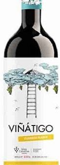 Bodegas Viñátigo Vijariego Blanco 2022 Supply