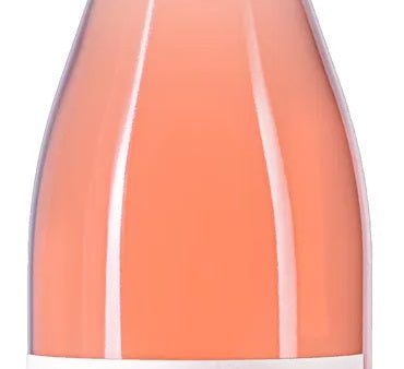 Bodega Familia Schroeder Saurus Pinot Noir Rose 2022 Online