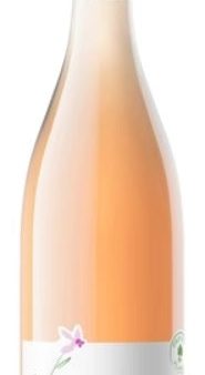 Anne de Joyeuse Orchis Pinot Noir (sc) 2022 For Sale