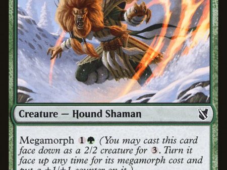 Ainok Survivalist [Commander 2019] Sale