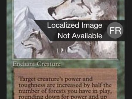 Aspect of Wolf [Foreign Black Border] Online now