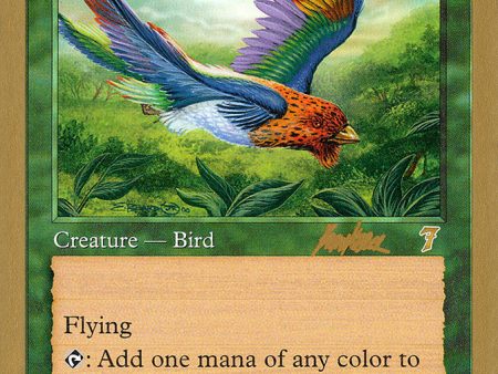 Birds of Paradise (Brian Kibler) [World Championship Decks 2002] Discount